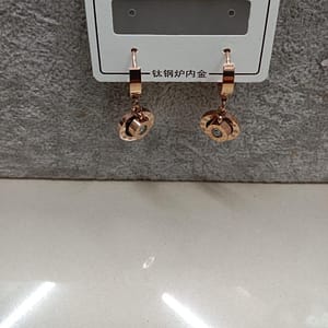 Western Earrings