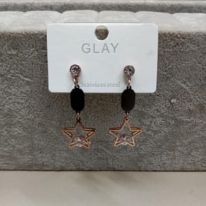 Western Earrings