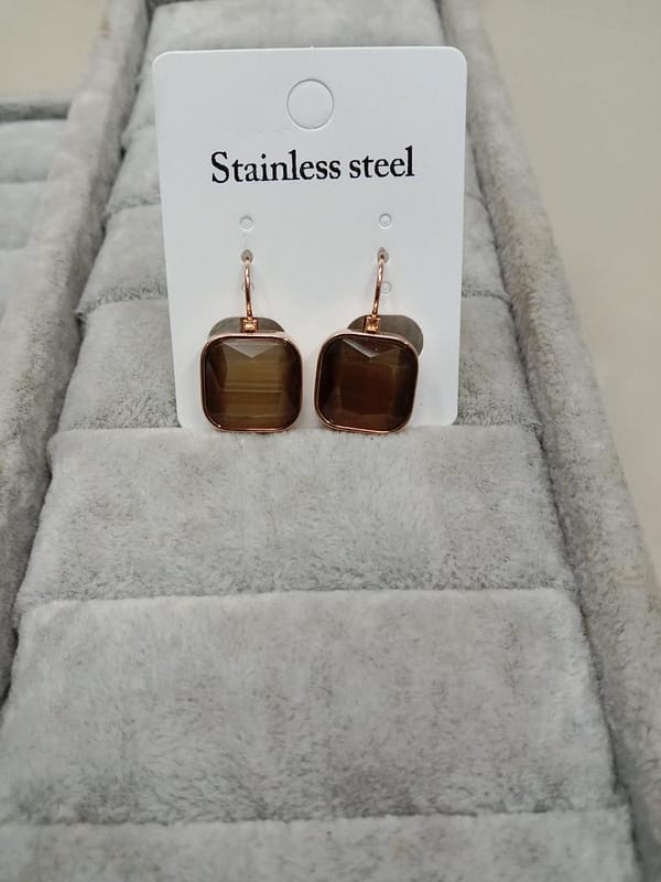 Western Earrings